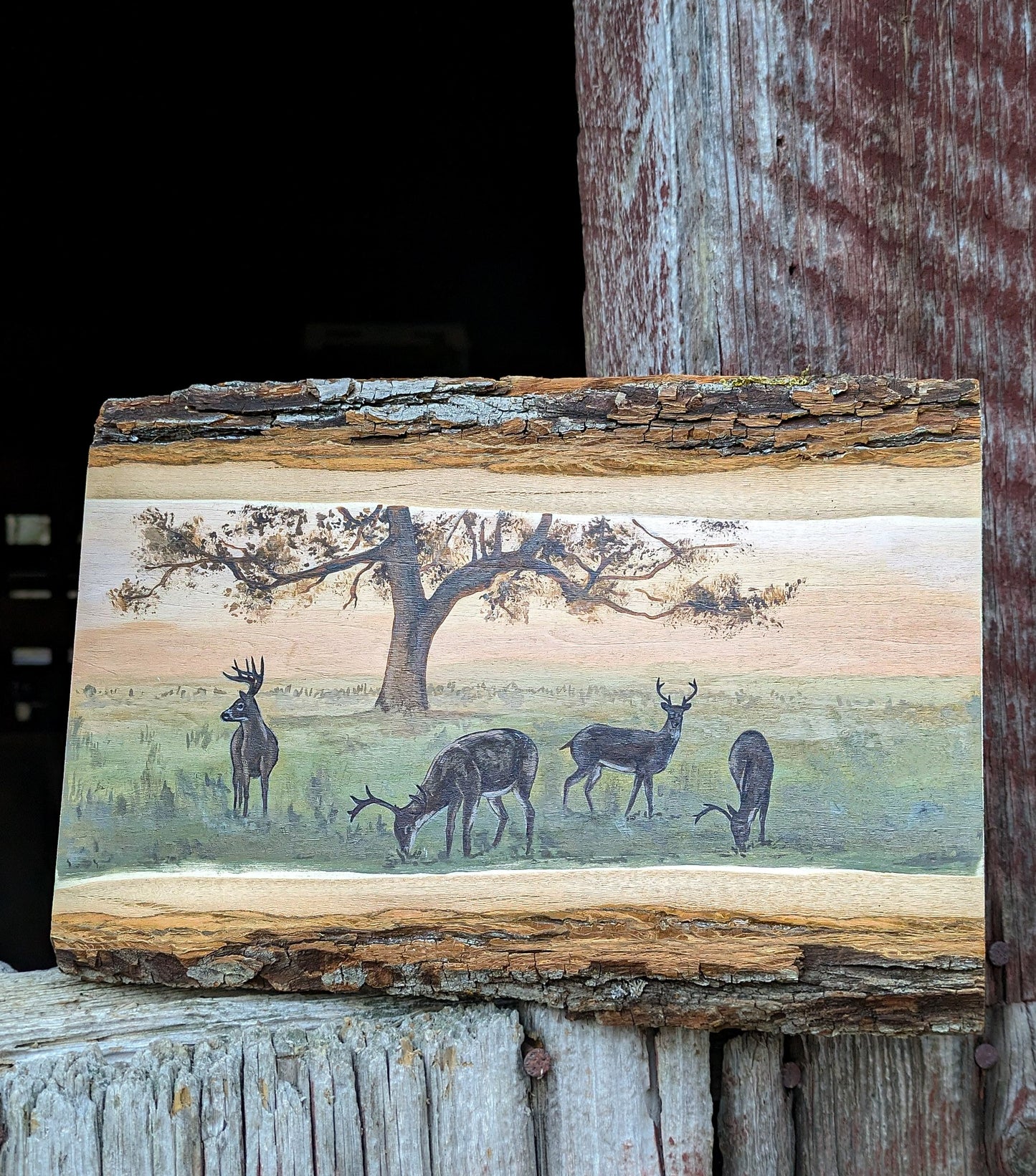 'Where First Light Lingers'