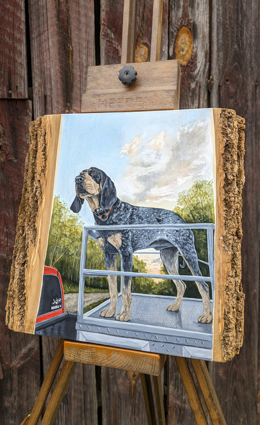 Backwoods Bluetick